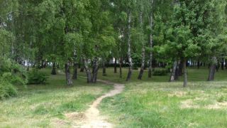 Солигорский район отмечает День охраны окружающей среды