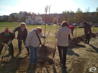 Депутаты Солигорского районного Совета депутатов 28 созыва приняли участие в  районном субботнике