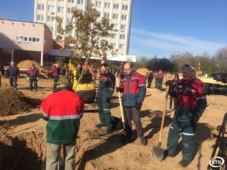 Работники ОАО «Беларуськалий» вышли на благоустройство территории