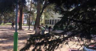 Ученики и работники гимназии №3 вышли на уборку своей территории