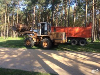 Районный субботник в парке Четырех стихий