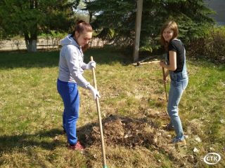 Сотрудники РОВД и Солигорского центра социального обслуживания населения приняли участие в благоустройстве города
