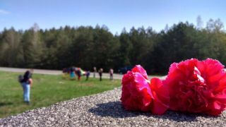 Благоустройство мемориального комплекса «Скорбящая мать»