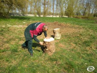 Сотрудники РОВД и Солигорского центра социального обслуживания населения приняли участие в благоустройстве города