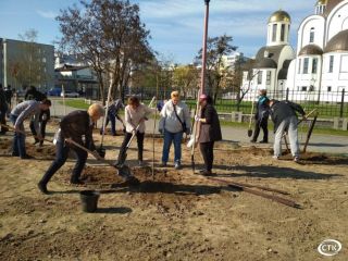 Депутаты Солигорского районного Совета депутатов 28 созыва приняли участие в  районном субботнике