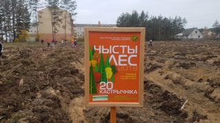 Акция "Чистый лес" в Старобинском лесхозе