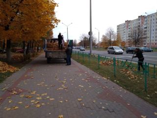 Солигорчане на уборке города