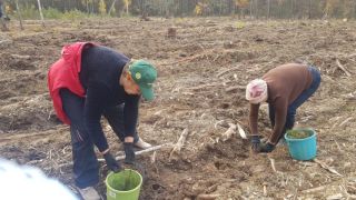 В Листопадовичах высадили лес в честь 100-летия ВЛКСМ