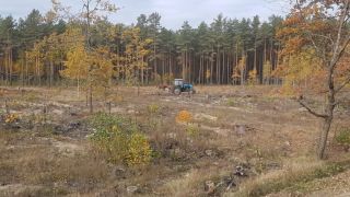 В Листопадовичах высадили лес в честь 100-летия ВЛКСМ