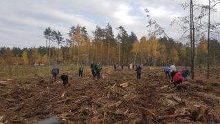В Листопадовичах высадили лес в честь 100-летия ВЛКСМ