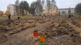 Акция "Чистый лес" в Старобинском лесхозе