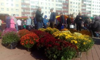 Большая осенняя ярмарка в Солигорске