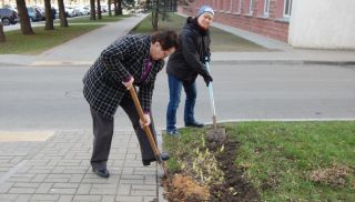 Фоторепортаж: субботник в Солигорском районе