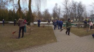 Фоторепортаж: субботник в Солигорском районе
