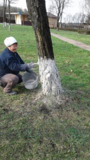 Старобинский ТБЗ в рамках месячника продолжает наведение порядка