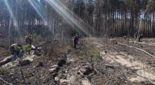 Республиканский субботник 20.04.2019