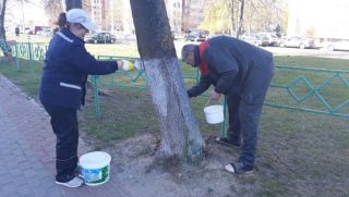 Республиканский субботник 20.04.2019
