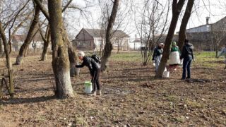 Наведение порядка на земле! Акция чистоты продолжается