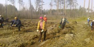 Субботник в Солигорском районе 06.04.2019