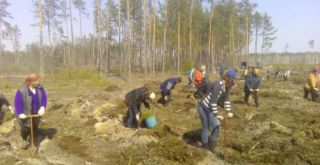 Субботник в Солигорском районе 06.04.2019