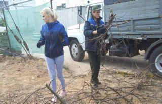 Наведение порядка на земле! Акция чистоты продолжается