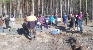Республиканский субботник 20.04.2019