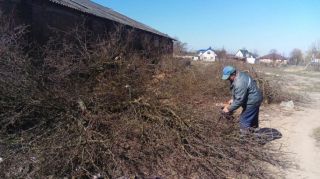Субботник в Солигорском районе 06.04.2019