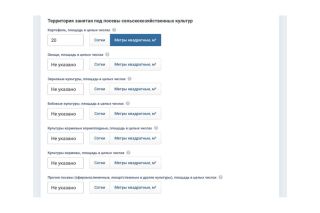 Белстат показал, как пройти интернет-перепись