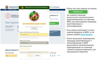 Белстат показал, как пройти интернет-перепись