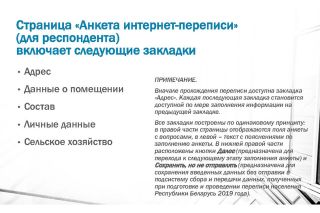 Белстат показал, как пройти интернет-перепись