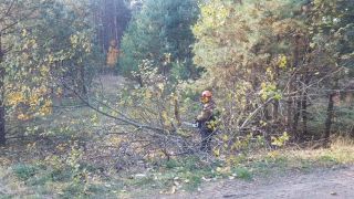 Районный субботник 19.10.2019(фоторепортаж)