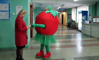Основной день голосования по выборам депутатов Палаты представителей