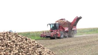 Аграрии продолжают работу в полях