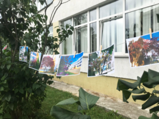 Снова в школу!