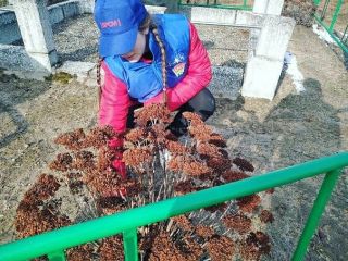 Солигорский район присоединяется к республиканскому патриотическому проекту "Сестры Хатыни"