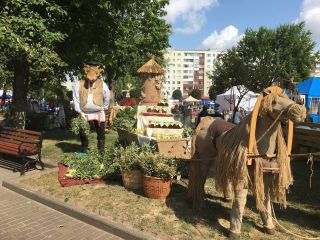 Как проходит финальный день фестиваля "ВЫТОКI" в Солигорске? Смотрите тут