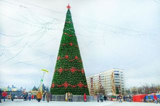Парад елок открыт. Выбираем первую зеленую красавицу Минской области
