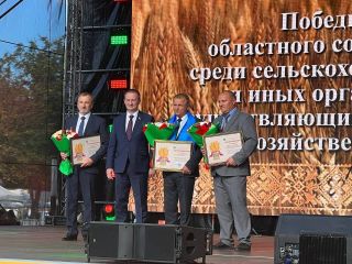 Областные "Дожинки 2023": большой фоторепортаж