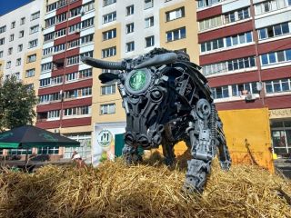 Областные "Дожинки 2023": большой фоторепортаж