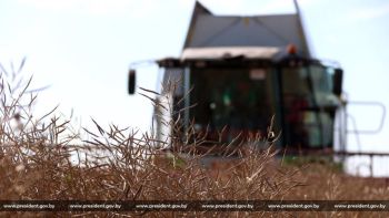 Рабочая поездка Президента в Минский район