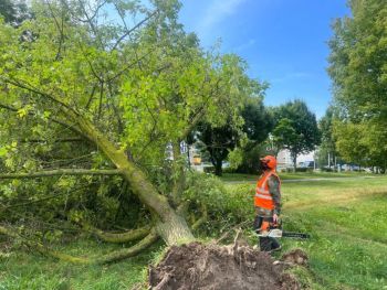 В Солигорке устраняют последствия непогоды