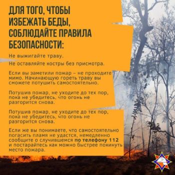 Сжигал сухую растительность и получил ожоги тела. ЧП произошло в Чепелях