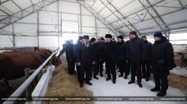 Президент Беларуси Александр Лукашенко  в Смолевичском районе Минской области посетил сельхозпредприятие "Шипяны-АСК"