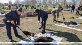 Кочанова рассказала, почему традиция проведения субботников должна передаваться из поколения в поколение