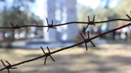 Сегодня - Международный день освобождения узников фашистских концлагерей