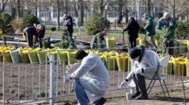 Кочанова рассказала, почему традиция проведения субботников должна передаваться из поколения в поколение