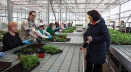 Кочанова рассказала, почему традиция проведения субботников должна передаваться из поколения в поколение
