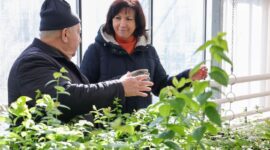 Кочанова рассказала, почему традиция проведения субботников должна передаваться из поколения в поколение