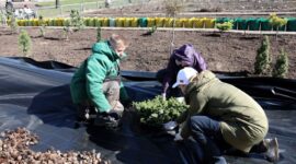 Кочанова рассказала, почему традиция проведения субботников должна передаваться из поколения в поколение