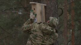 Как прошел республиканский субботник в Солигорском районе. Фоторепортаж